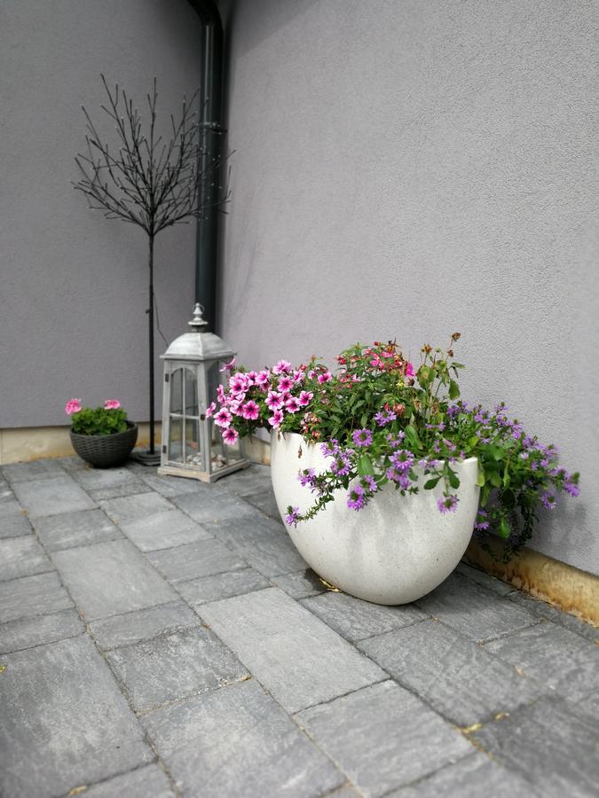 Zsinko Villa Peçuy Dış mekan fotoğraf
